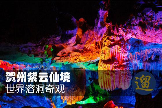 解救金刚鹦鹉