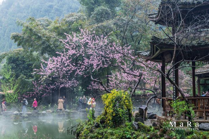 87版电视红楼梦已封神！可惜塑造个假“宝钗”，与原著完全相反