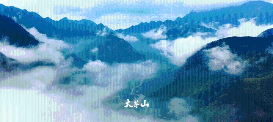 国家魔法森林逃亡
