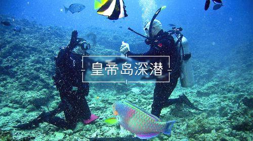 逃离荒凉的地方