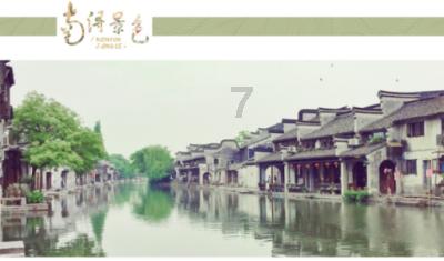 救援非洲金猫
